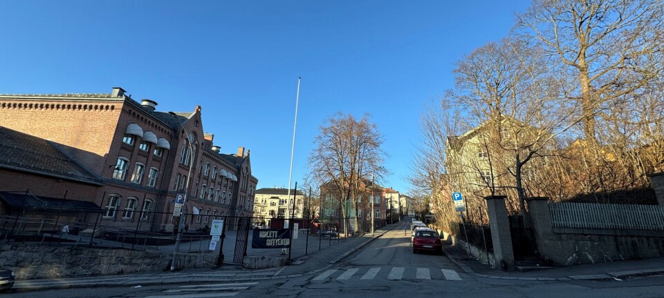 Trongt om plassen
