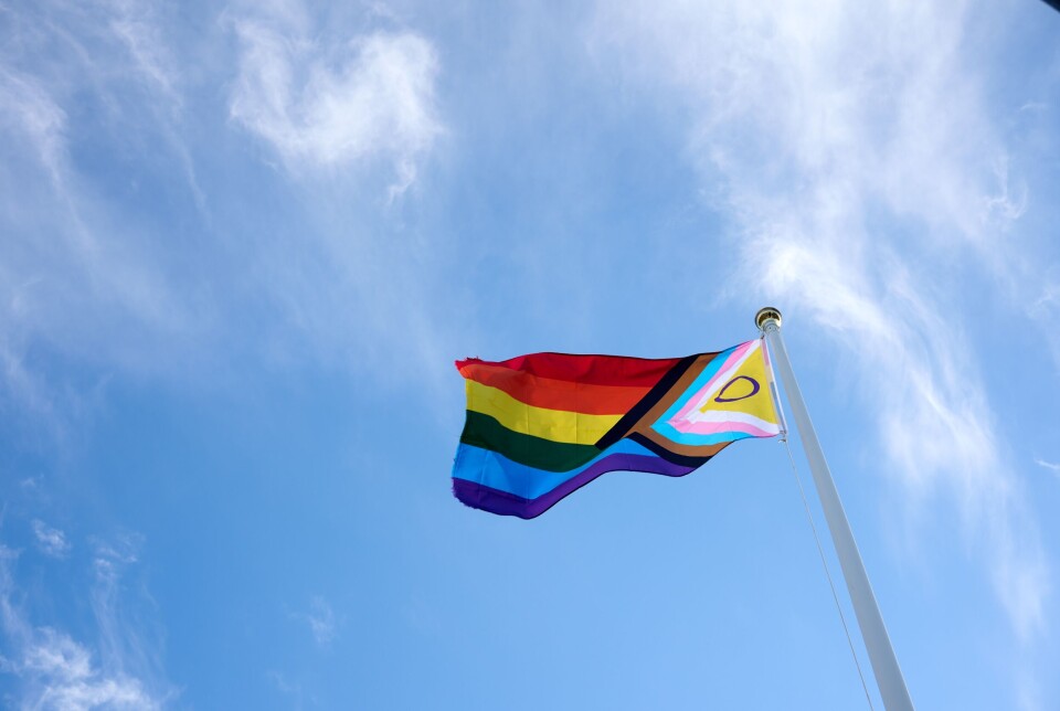 70 prosent oppgir at de aldri har opplevd hatmotiverte kommentarer, men 12 prosent sier det skjer «av og til» eller «ofte». Prideflagg mot blå himmel