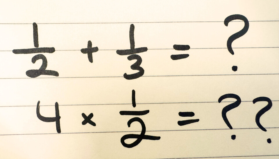 Mister elevene kunnskapen i jakten på kompetanse?