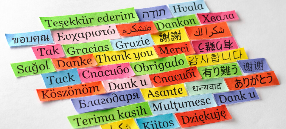 Fremmedspråk i fritt fall i norsk skole