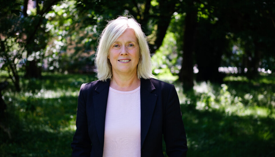 Veien videre Portrett av Helle Christin Nyhuus